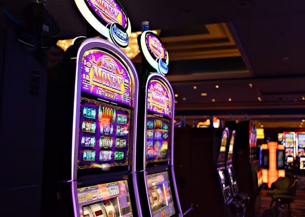 535 bet