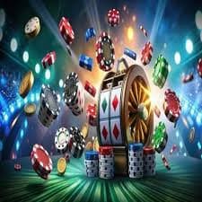 535 bet